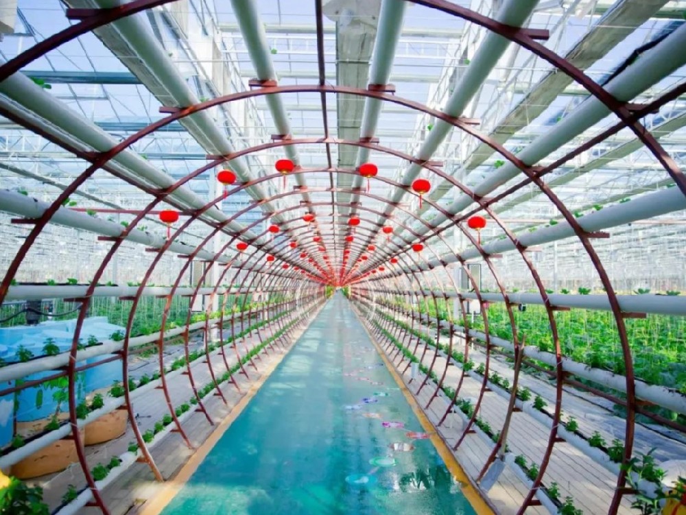 玻璃大棚的玻璃选择有什么讲究