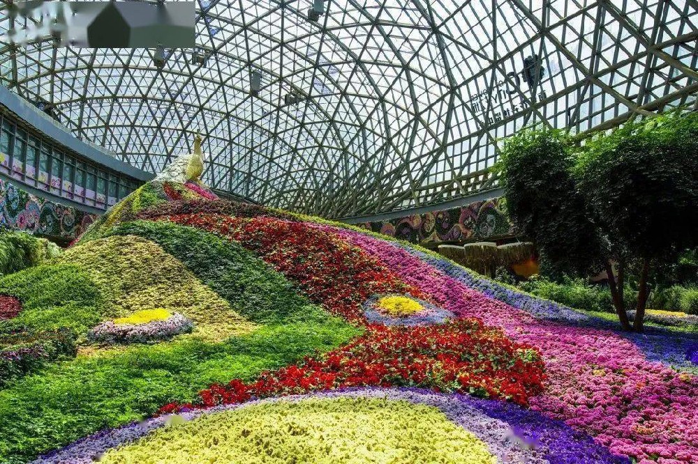 玻璃温室的全面介绍与指南